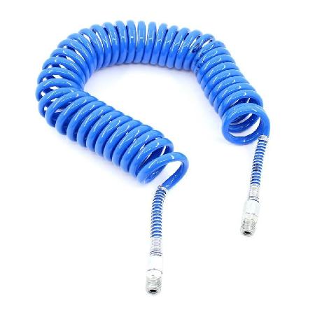 Foto sobre Mauris const equat