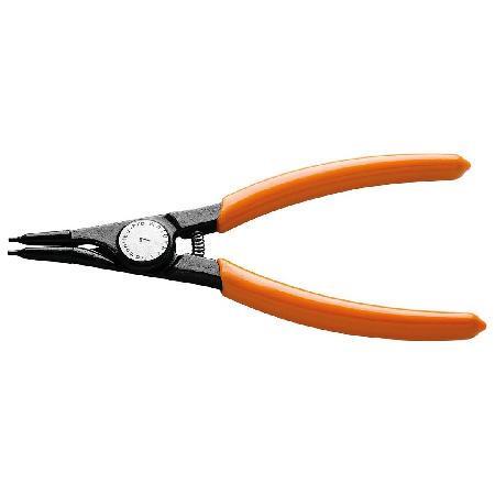 Foto sobre Mauris const equat