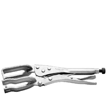 Foto sobre Mauris const equat