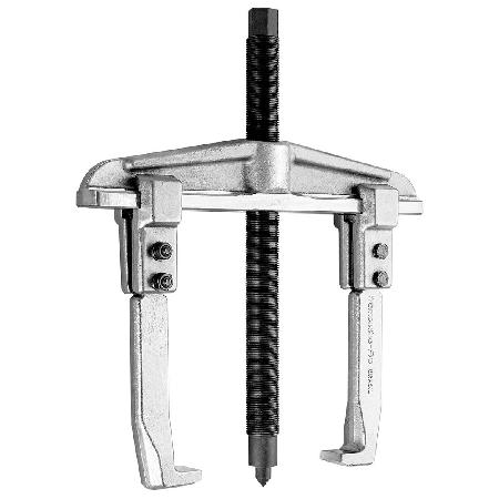 Foto sobre Mauris const equat