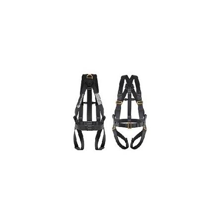 Foto sobre Mauris const equat