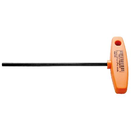 Foto sobre Mauris const equat