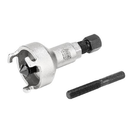 Foto sobre Mauris const equat